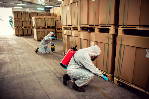 Best Emergency Pest Control  in Country Club Hls, IL