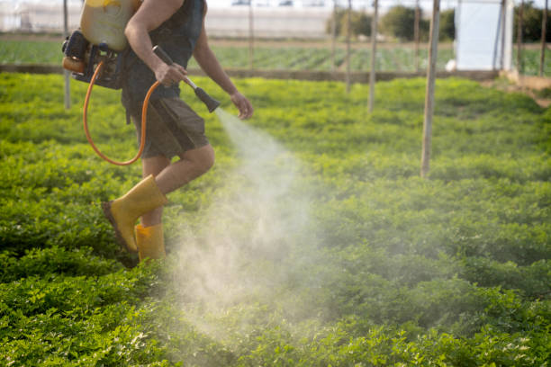 Best Best Pest Control Companies  in Country Club Hls, IL