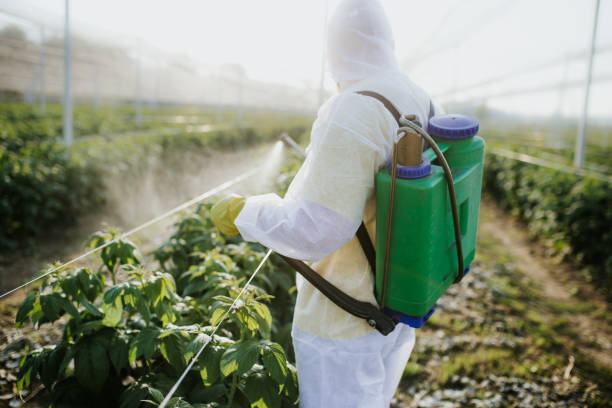 Best Affordable Pest Control Services  in Country Club Hls, IL